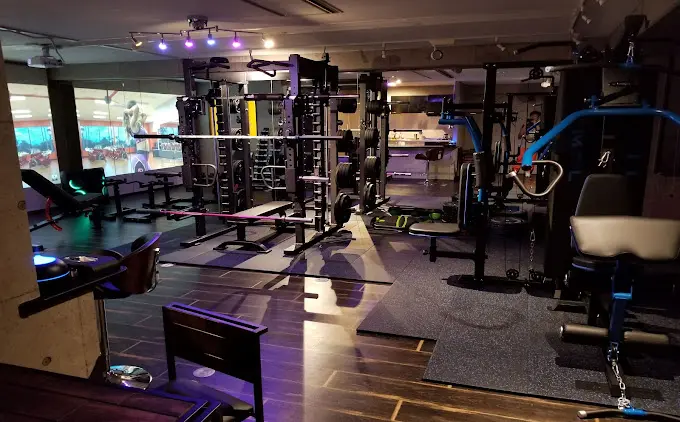 MONSTER FITNESS(モンスターフィットネス)