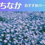 ひたちなかのパーソナルジムおすすめ3選!安いジムや女性向けのジムなどもご紹介!