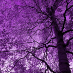 なぜ霊感・霊視の占いは驚くほど当たるのか？【霊能力占い師5選】