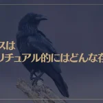カラスはスピリチュアル的にはどんな存在？夜に鳴くのは何かのメッセージ？