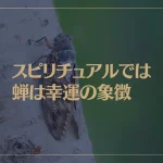 スピリチュアルでは蝉は幸運の象徴