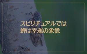 スピリチュアルでは蝉は幸運の象徴