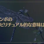 トンボのスピリチュアル的な意味は？黒いトンボは？神社で見かけたら？