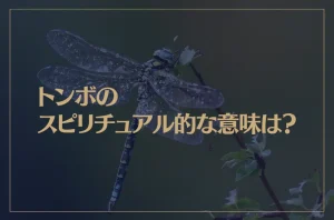 トンボのスピリチュアル的な意味は？黒いトンボは？神社で見かけたら？