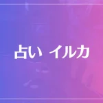 占い イルカは当たる？当たらない？参考になる口コミをご紹介！