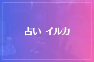 占い イルカは当たる?当たらない?参考になる口コミをご紹介!