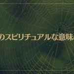 蜘蛛のスピリチュアルな意味とは？朝は縁起が良くて夜は不吉？