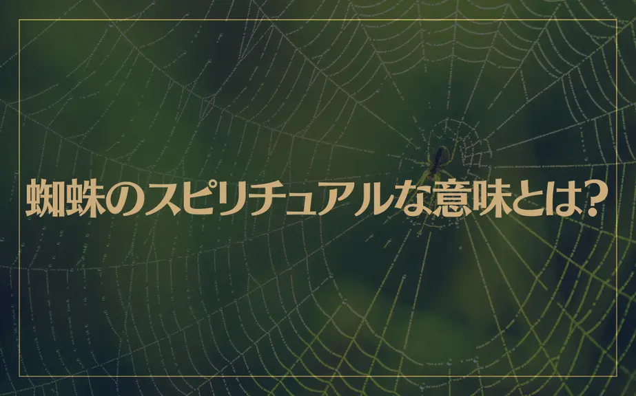 蜘蛛のスピリチュアルな意味とは？朝は縁起が良くて夜は不吉？