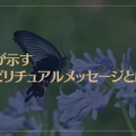蝶が示すスピリチュアルメッセージとは？クロアゲハは神様の遣い？