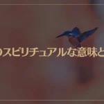 鳥のスピリチュアルな意味とは？鳥が横切るときは？夜の鳴き声は？