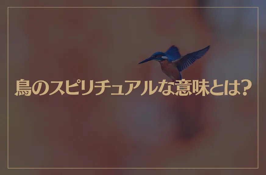 鳥のスピリチュアルな意味とは？鳥が横切るときは？夜の鳴き声は？