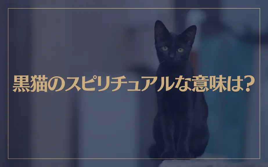 黒猫のスピリチュアルな意味は？実は幸運の証し？横切ると不吉はウソ？