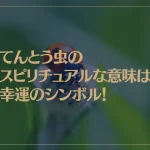 てんとう虫のスピリチュアルな意味は幸運のシンボル！