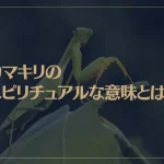 カマキリのスピリチュアルな意味とは？カマキリは縁起が良い？幸運の象徴？