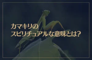 カマキリのスピリチュアルな意味とは？カマキリは縁起が良い？幸運の象徴？