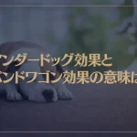 アンダードッグ効果とバンドワゴン効果の意味は？マーケティングや恋愛に使える心理学！