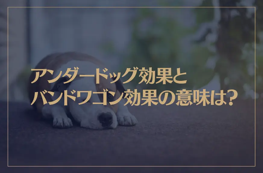 アンダードッグ効果とバンドワゴン効果の意味は？マーケティングや恋愛に使える心理学！