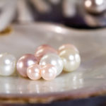パール（真珠）の意味や効果・浄化方法などをご紹介！【パワーストーン】