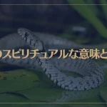 蛇のスピリチュアルな意味とは？蛇が夢にでてきたら幸運のメッセージ？