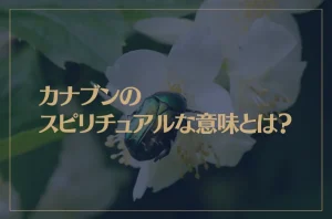 カナブンのスピリチュアルな意味とは？幸運を運ぶ虫？コガネムシは縁起が良い？