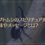 カブトムシのスピリチュアルな意味やメッセージとは？カブトムシの夢占いもご紹介！