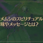 カメムシのスピリチュアルな意味やメッセージとは？