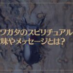 クワガタのスピリチュアルな意味やメッセージとは？