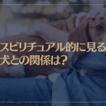 スピリチュアル的に見る犬との関係は？ペットとして飼うことの意味は？好かれる人吠えられる人の特徴は？