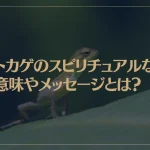 トカゲのスピリチュアルな意味やメッセージとは？新しい幸運の前触れ？神社で遭遇すると縁起が良い？