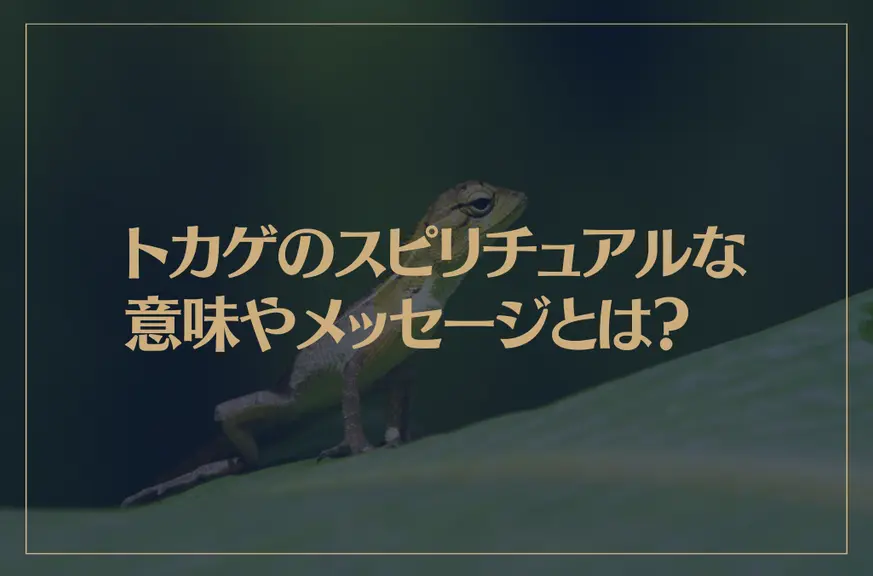 トカゲのスピリチュアルな意味やメッセージとは？新しい幸運の前触れ？神社で遭遇すると縁起が良い？