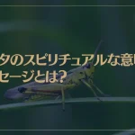 バッタのスピリチュアルな意味やメッセージとは？バッタは幸運を運んで来てくれる？