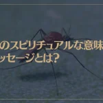 蚊のスピリチュアルな意味やメッセージとは？蚊に刺された時の暗示は？