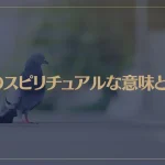 鳩のスピリチュアルな意味とは？白い鳩は幸運の証？つがいの鳩が持つメッセージは？