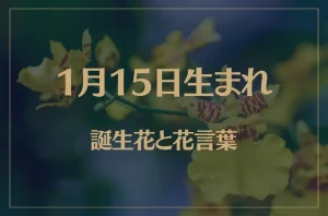 1月15日の誕生花と花言葉がコレ!性格や恋愛・仕事などの誕生日占いもご紹介!