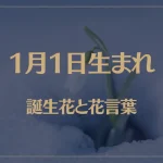 1月1日の誕生花と花言葉がコレ！性格や恋愛・仕事などの誕生日占いもご紹介！