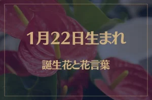 1月22日の誕生花と花言葉がコレ!性格や恋愛・仕事などの誕生日占いもご紹介!