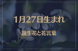 1月27日の誕生花と花言葉がコレ!性格や恋愛・仕事などの誕生日占いもご紹介!