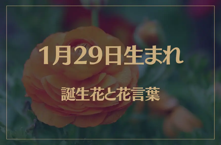 1月29日の誕生花と花言葉がコレ！性格や恋愛・仕事などの誕生日占いもご紹介！