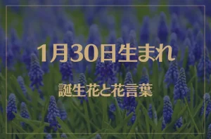 1月30日の誕生花と花言葉がコレ！性格や恋愛・仕事などの誕生日占いもご紹介！