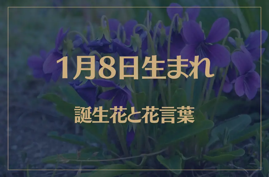 1月8日の誕生花と花言葉がコレ！性格や恋愛・仕事などの誕生日占いもご紹介！