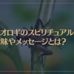コオロギのスピリチュアルな意味やメッセージとは？