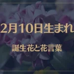2月10日の誕生花と花言葉がコレ！性格や恋愛・仕事などの誕生日占いもご紹介！