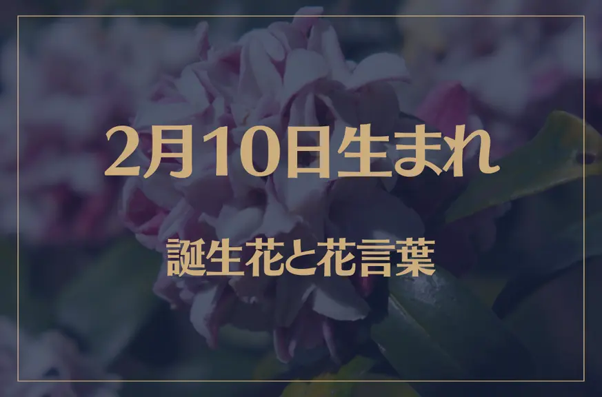 2月10日の誕生花と花言葉がコレ！性格や恋愛・仕事などの誕生日占いもご紹介！