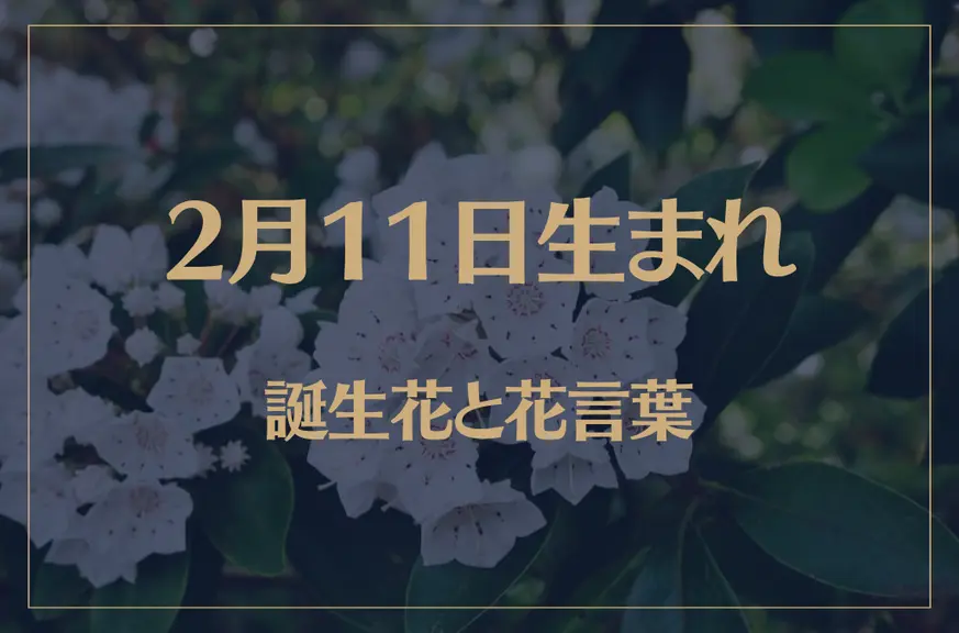 2月11日の誕生花と花言葉がコレ！性格や恋愛・仕事などの誕生日占いもご紹介！