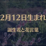 2月12日の誕生花と花言葉がコレ！性格や恋愛・仕事などの誕生日占いもご紹介！
