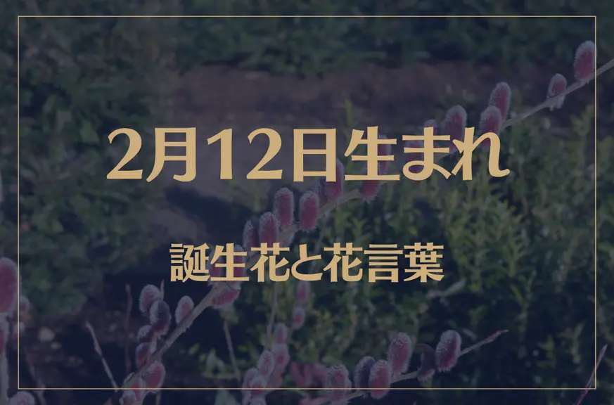 2月12日の誕生花と花言葉がコレ！性格や恋愛・仕事などの誕生日占いもご紹介！