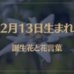 2月13日の誕生花と花言葉がコレ！性格や恋愛・仕事などの誕生日占いもご紹介！