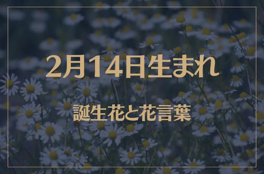 2月14日の誕生花と花言葉がコレ！性格や恋愛・仕事などの誕生日占いもご紹介！