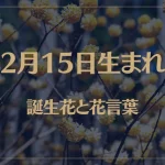 2月15日の誕生花と花言葉がコレ！性格や恋愛・仕事などの誕生日占いもご紹介！
