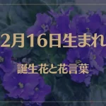2月16日の誕生花と花言葉がコレ！性格や恋愛・仕事などの誕生日占いもご紹介！